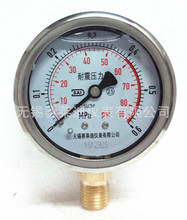 無錫賽萊迪廠家充油耐震壓力表 油壓表 徑向耐震 YN60