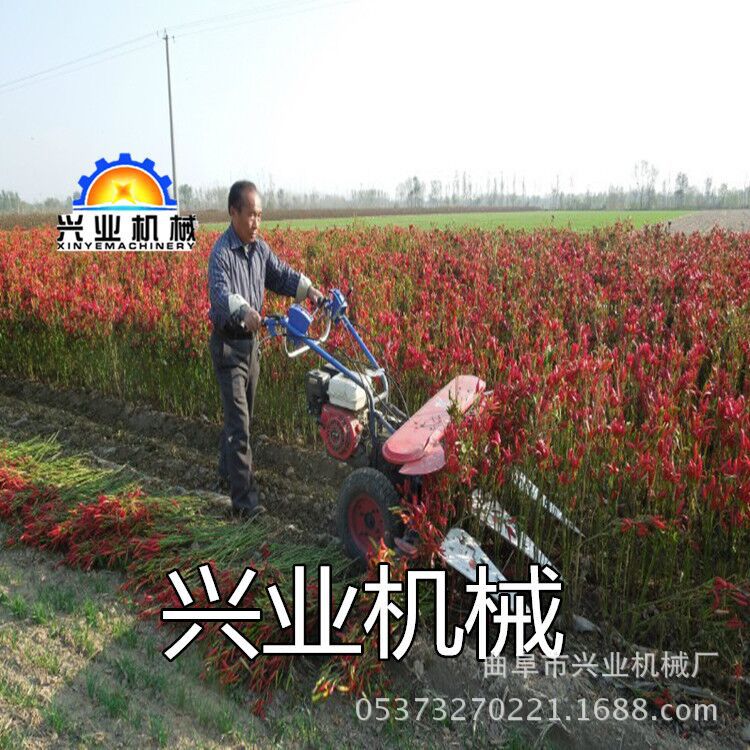 厂家直销玉米桔杆收割机 多功能辣椒收割机厂家