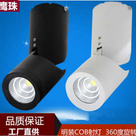 天花筒灯5W7W10W365度调角度万向射灯鹰珠厂价直销COB明装射灯