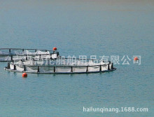 �����Bֳ�W�両Ͳ,�~�׸�Ư,������,������Ͳ����