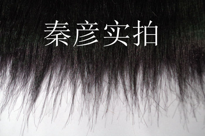 IMGP8994_副本_副本