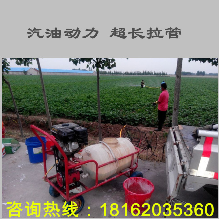农药喷雾机 手推式机动打药机 果园喷雾机