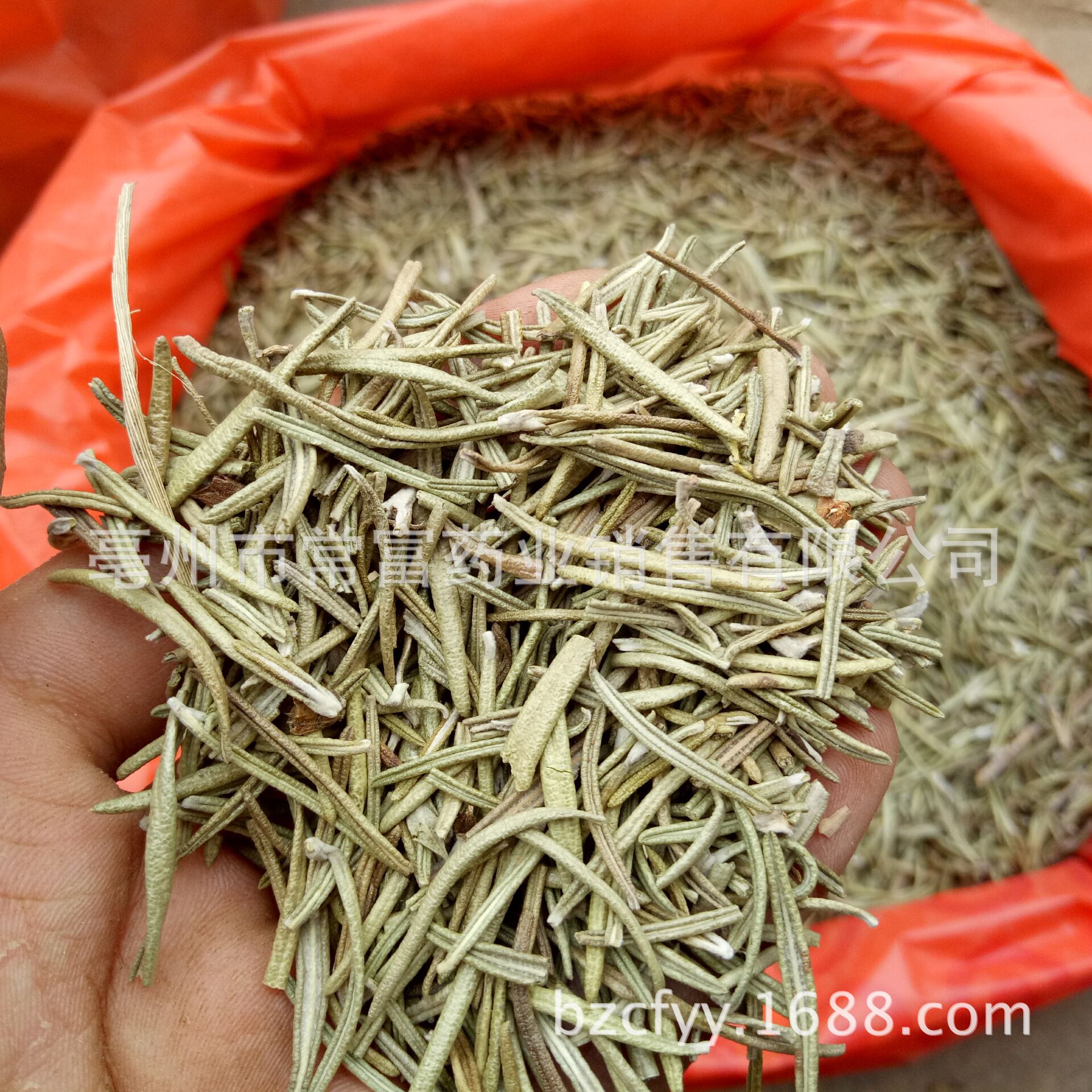 Dried Rosemary Leaves Mi Die Xiang 迷迭香 Culinary Herb for Western Cooking and Herbal Tea 1 Jin Pack specifications
