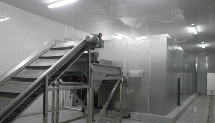 粘玉米粒流态化式速冻机