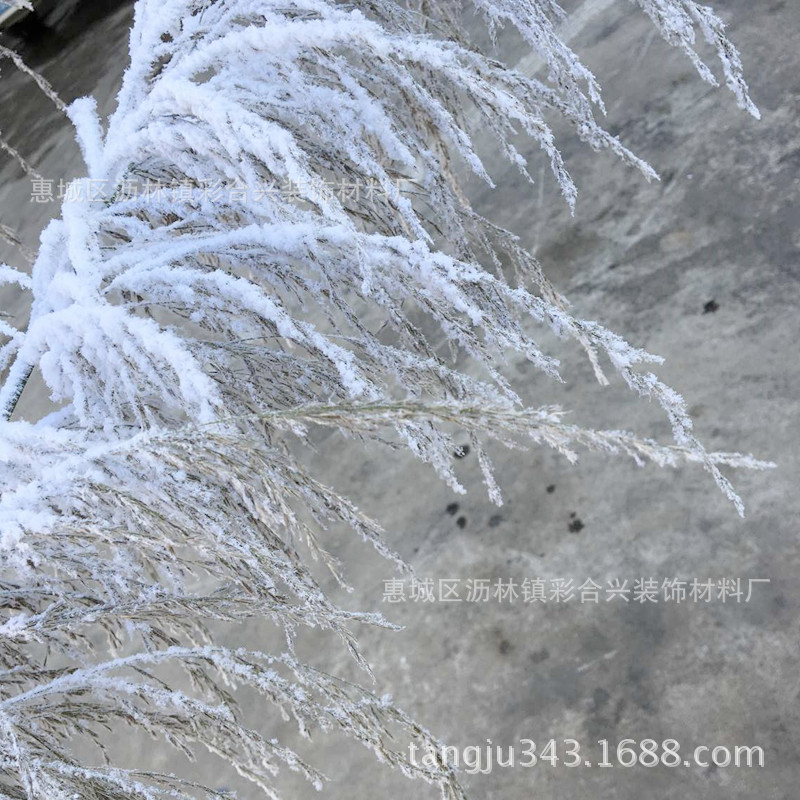 3391雪白雪绒粉 圣诞干枝枯枝雪效果装饰雪粉植绒