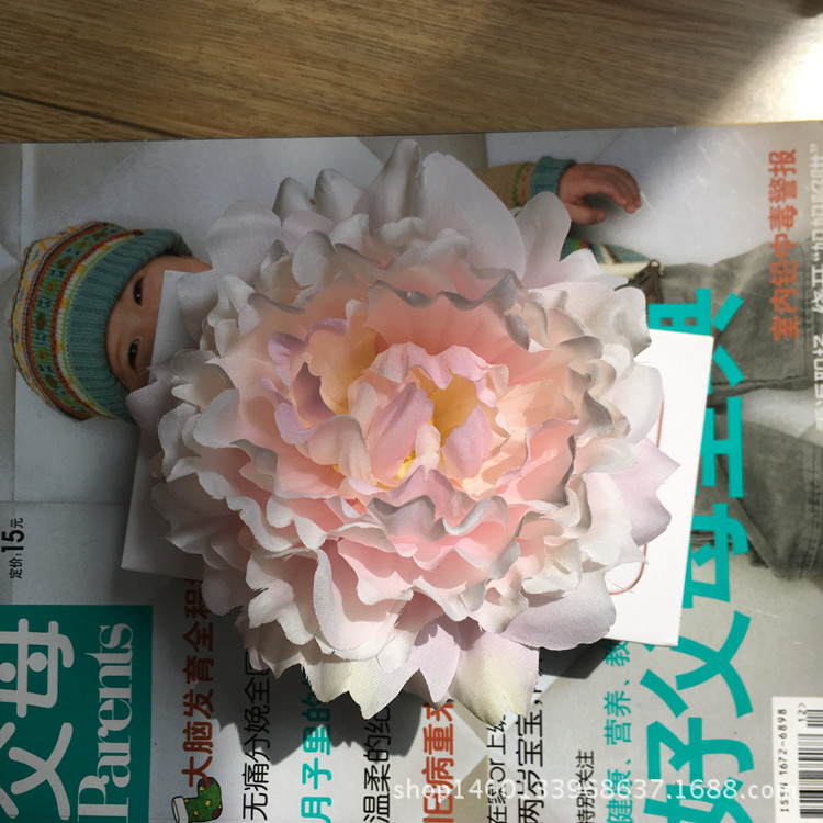 황색 분말 코어