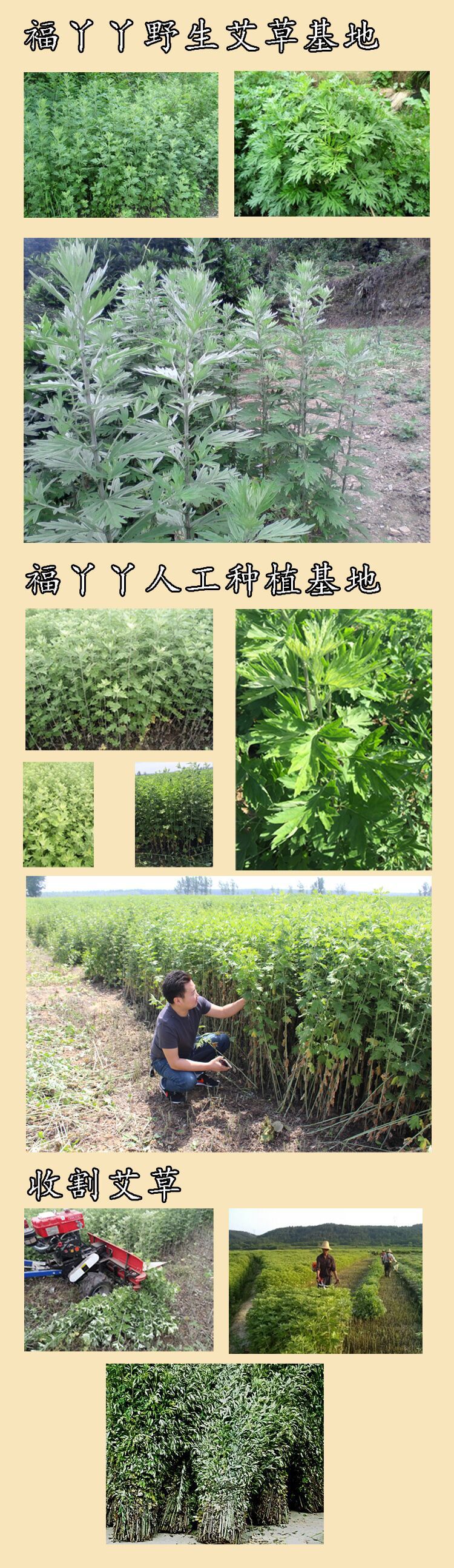 F5JPO8D{29IJIXZYVYDAK}R