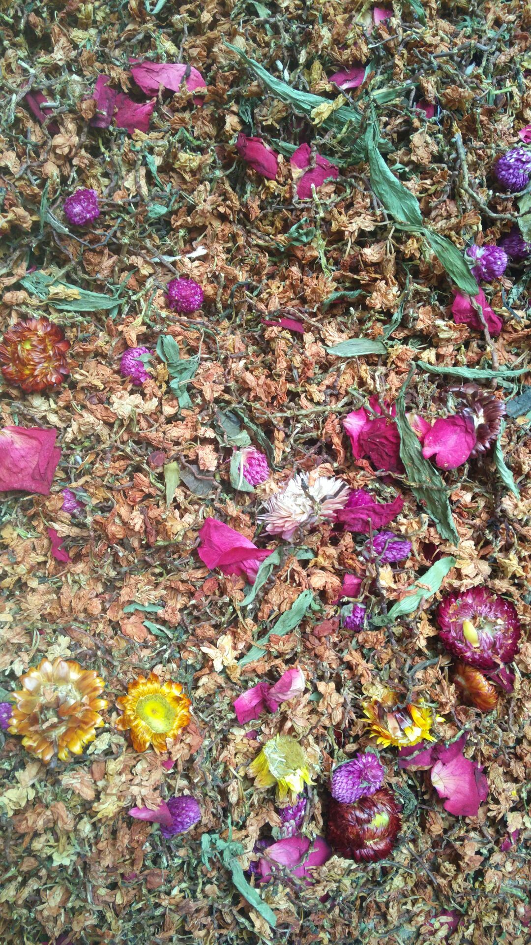 QQ图片20161113102430