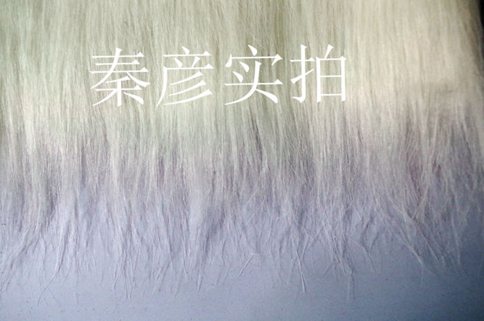 IMGP8998_副本_副本