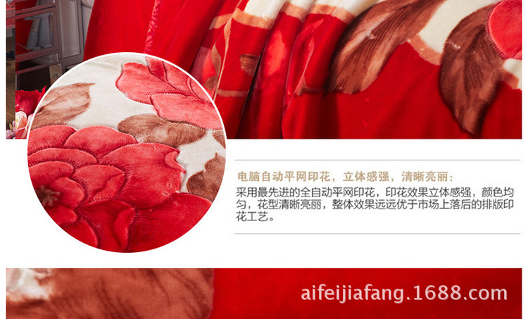 拉舍爾毛毯_懶人圖_大花_13