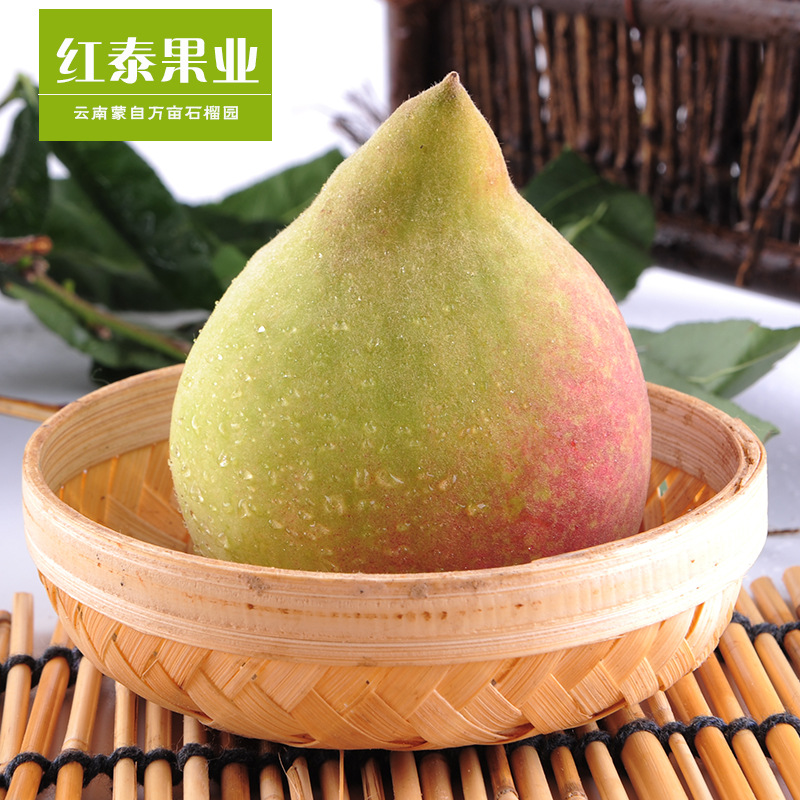 雲南特産新鮮水果蒙自鷹嘴桃 甜脆多汁現摘現發6斤裝 誠招代理商