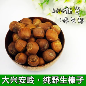[野生榛子原味熟榛子黑龙江山榛子东北特产坚果炒货500g包邮新货]