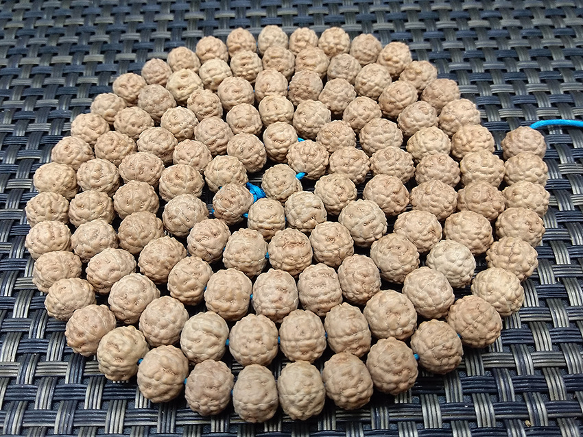 1 (12)