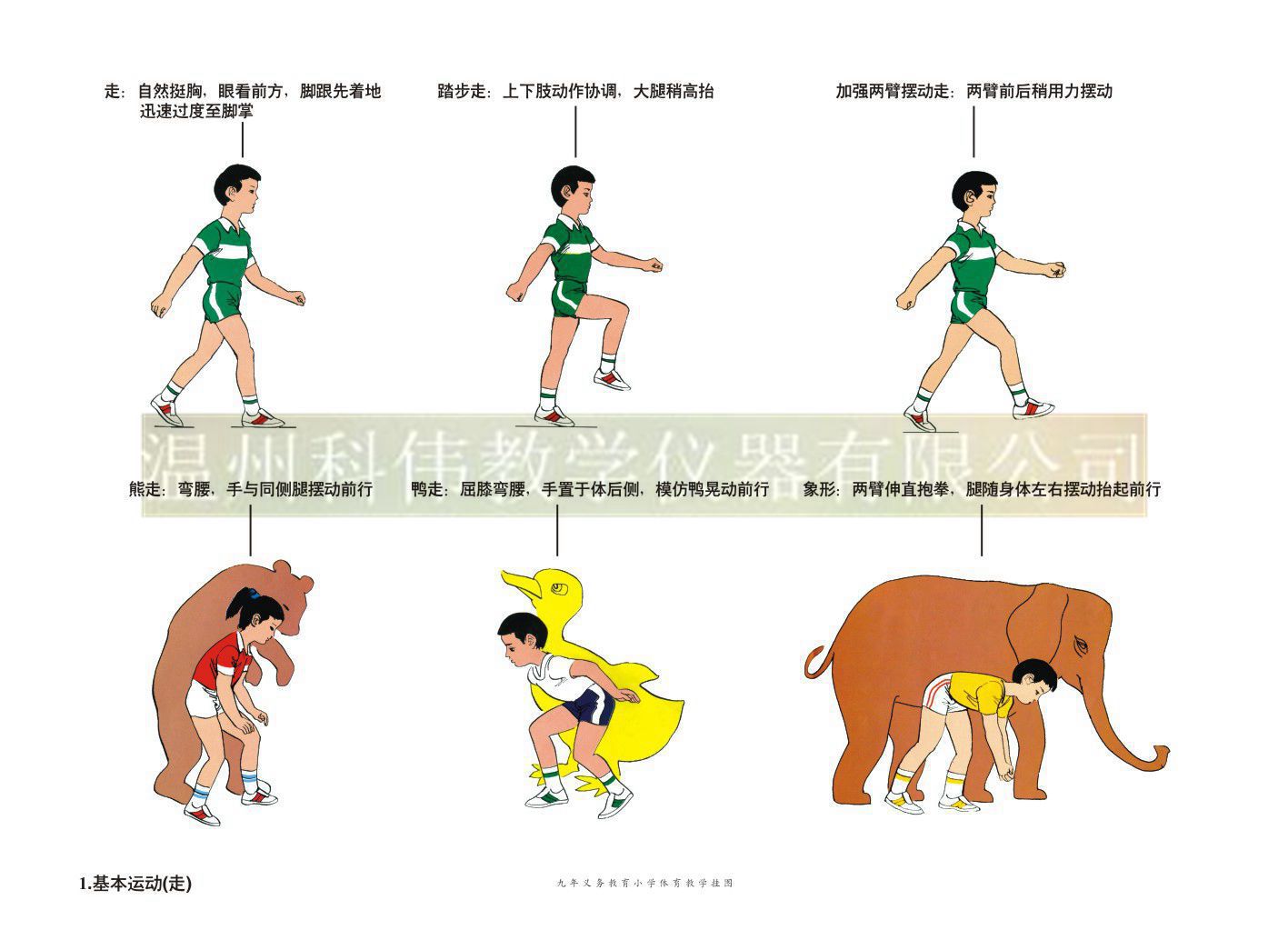 铜版纸体育挂图体育教材小学体育教学挂图全套30幅教学仪器