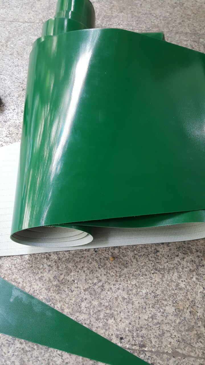 丹宇龙PVC输送带白色食品输送带 食品输送带 轻型输送带 欢迎咨询