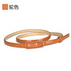 Polyurethane belt, suitable with a skirt, industrial decorations