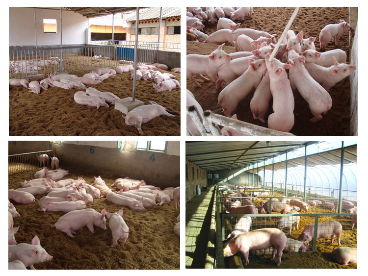 2698206761_521147679