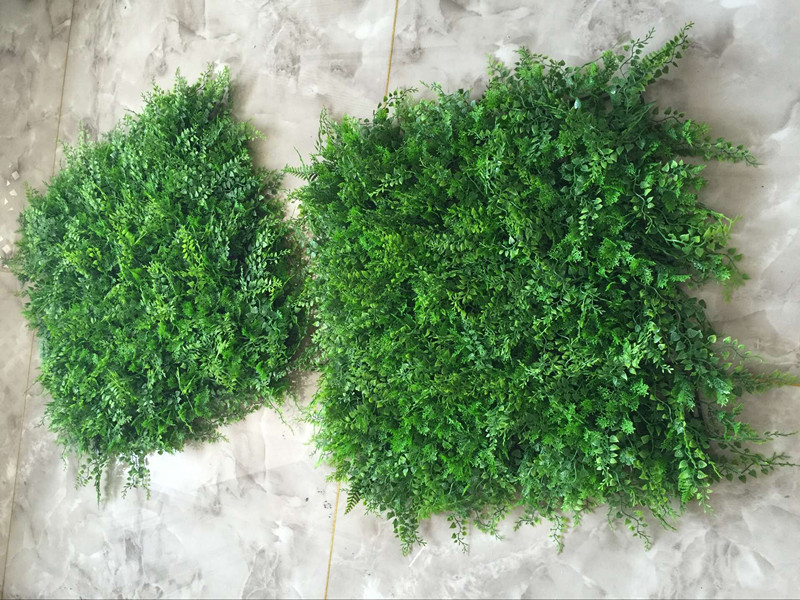 QQ图片20160707150341_副本