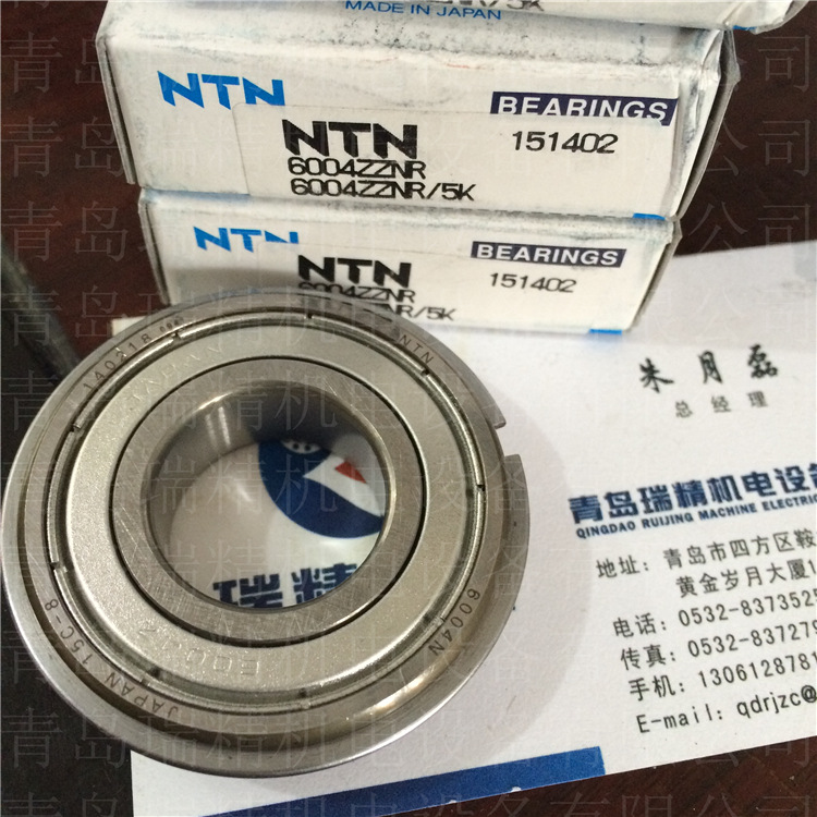 NTN6004ZZNR-5K (2)