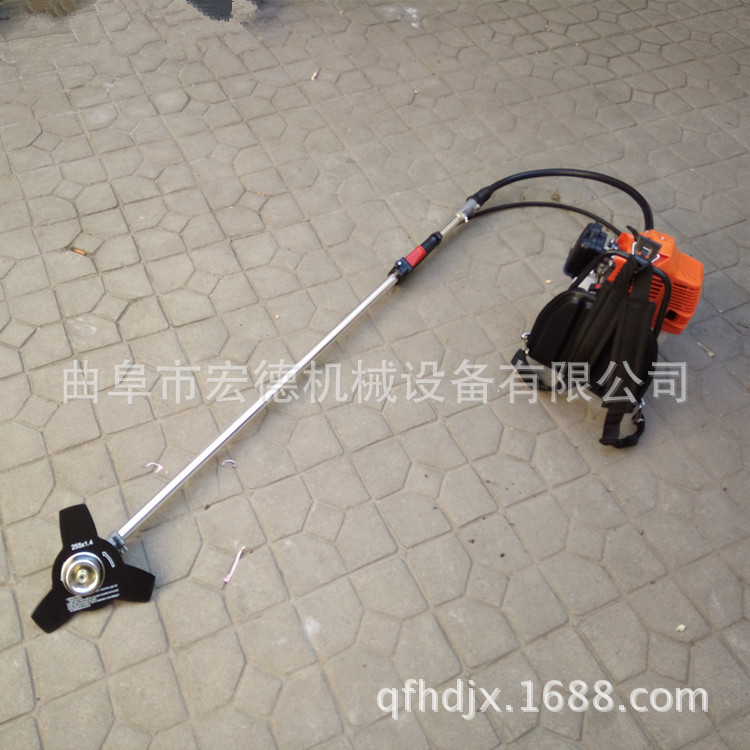 2718273359_187805084