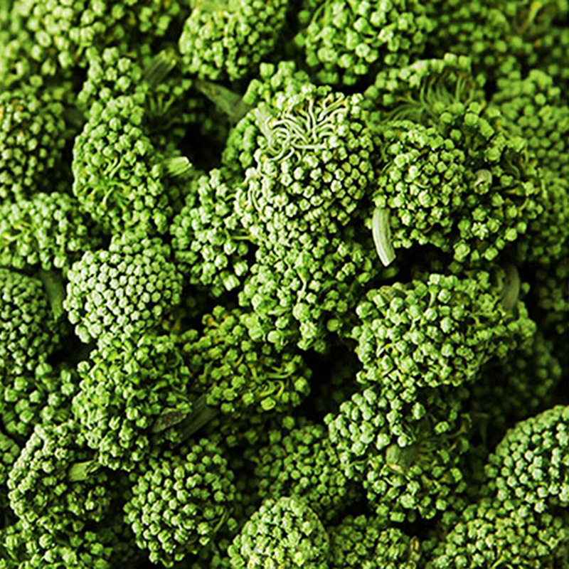 2871563106_215021013