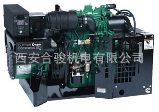 西安康明斯奥南发电机Cummins Onan SD 6.0  SD8.0 SD10.0 SD20.0