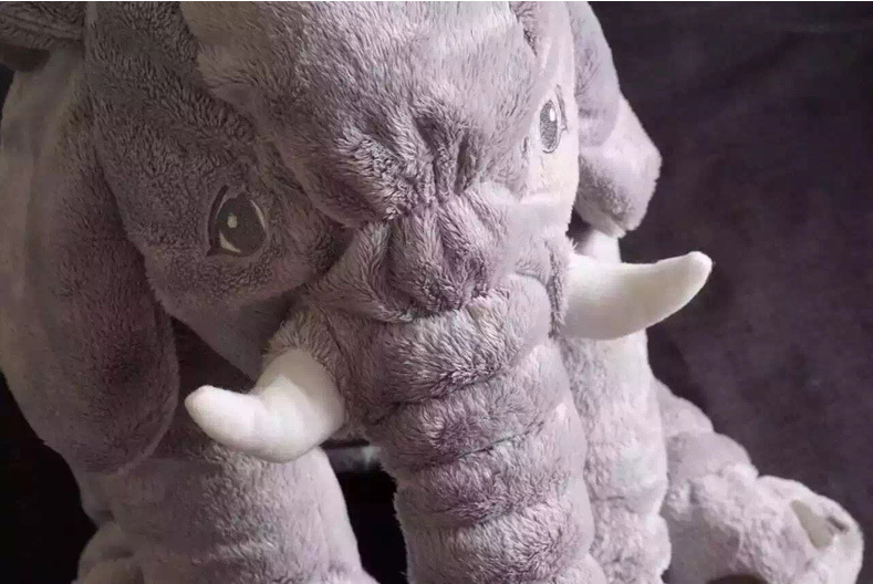 2848888542_856069474