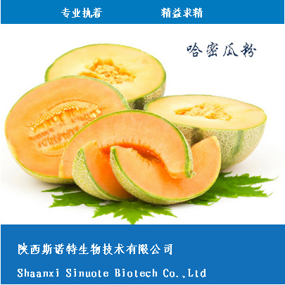 哈密瓜2