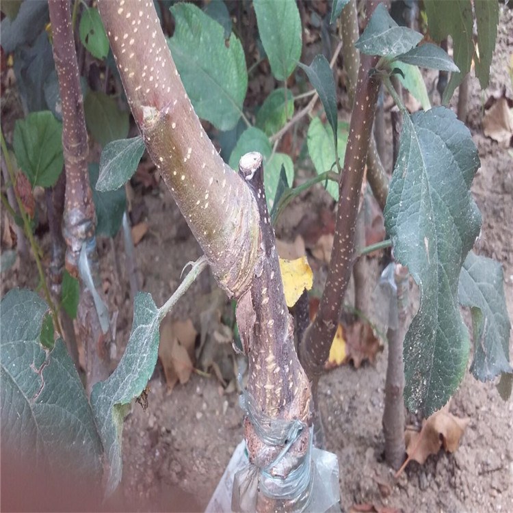 QQ图片20160904215425