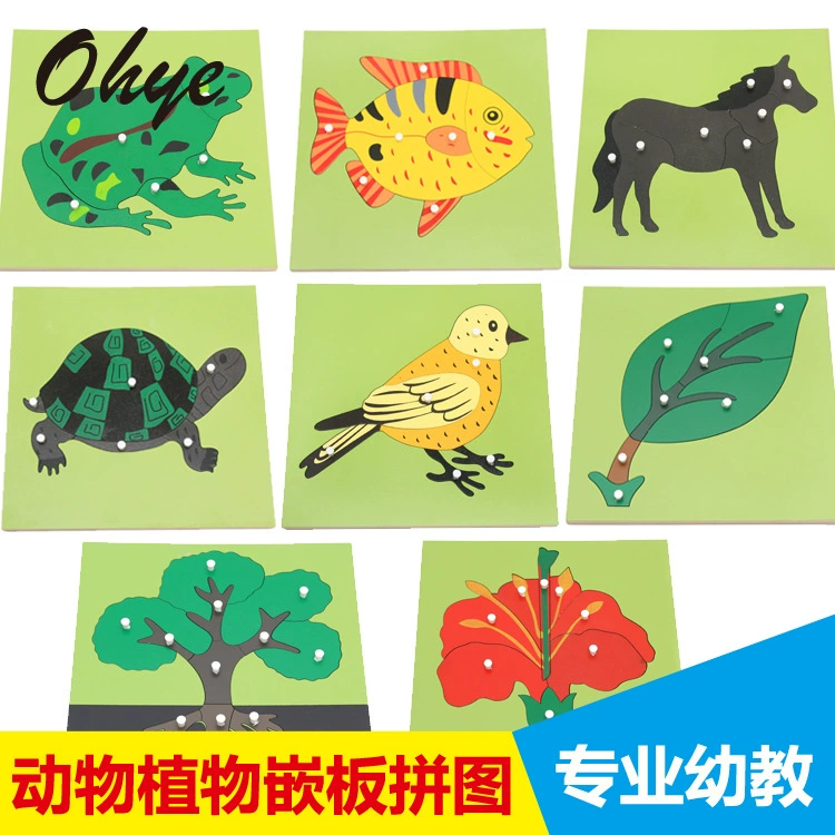 Brainteaser Montessori, teaching aids, professional smart toy