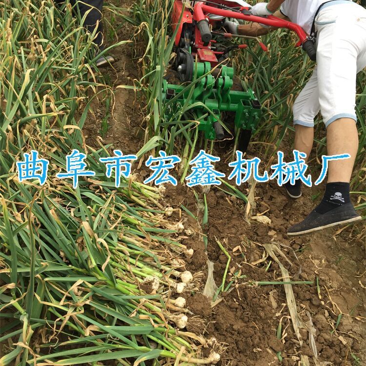 QQ圖片20160406115421