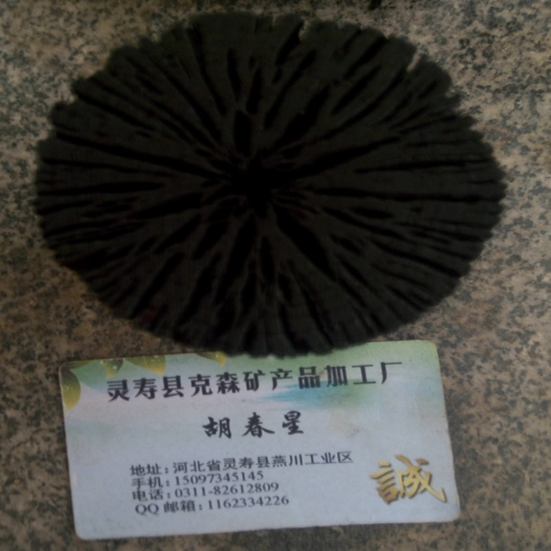 炭菊花9