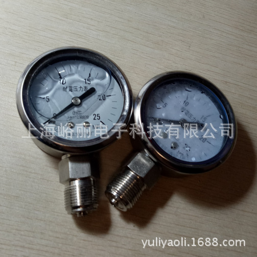 德国 耐震式 液体压力表