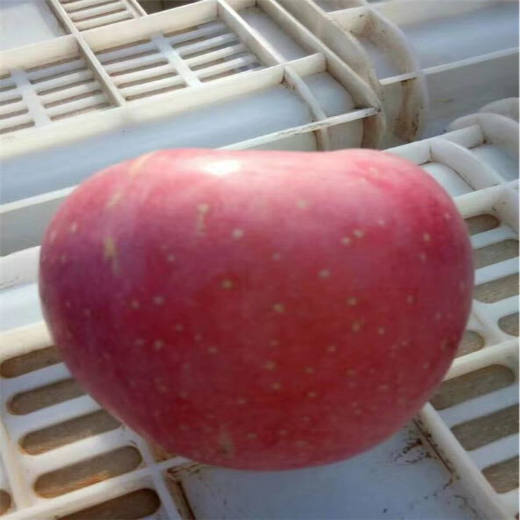 QQ图片20161025101949