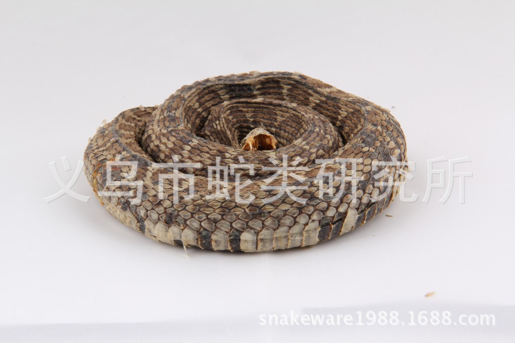 填充蝮蛇幹/專業蛇制品生産商/資質齊全/出口日本/藥廠醫藥公司