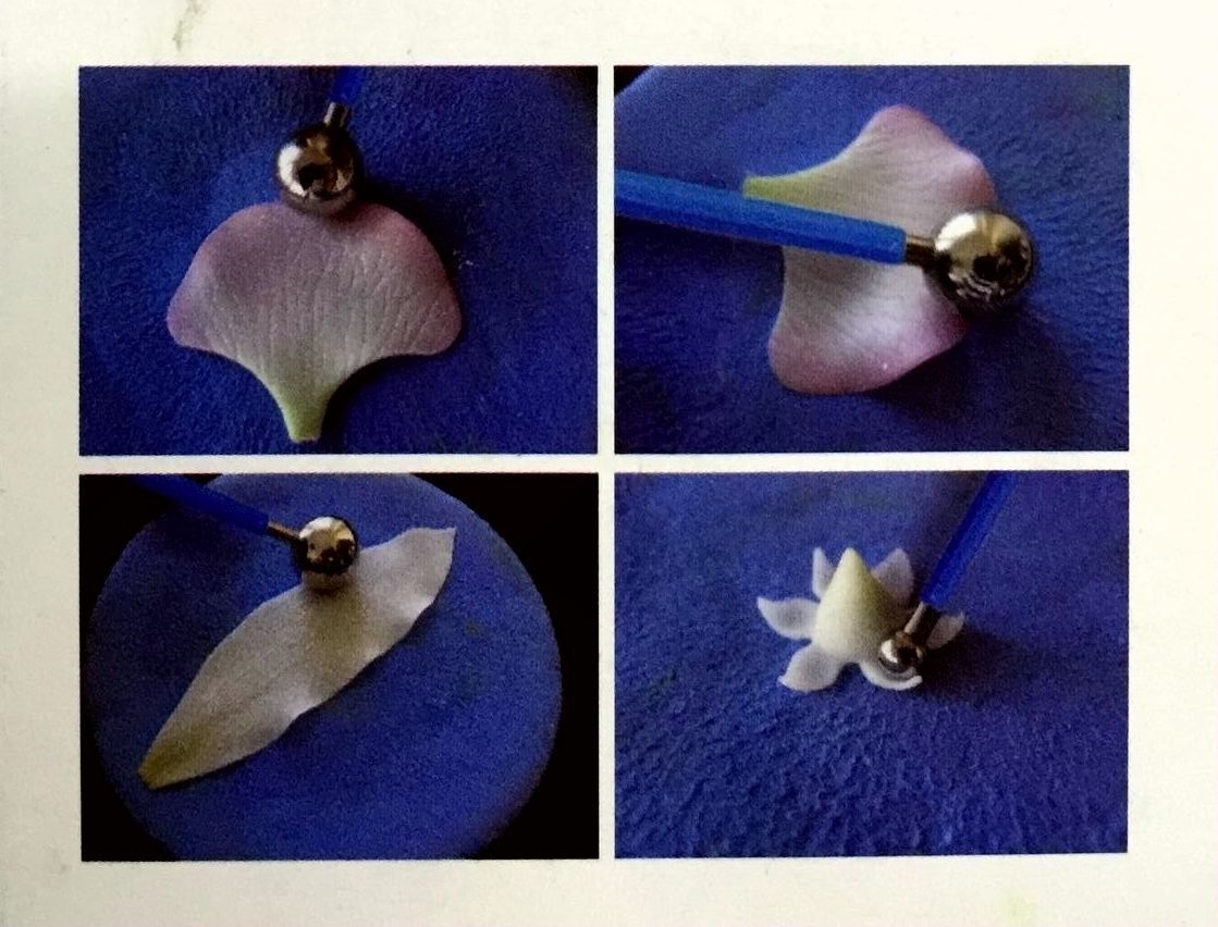 QQ图片20160527170838_副本