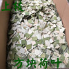 Wholesale lotus-leaf tea block-shaped lotus leaf tea lotus leaf block lotus leaf tea 3-4cm upper branches supply