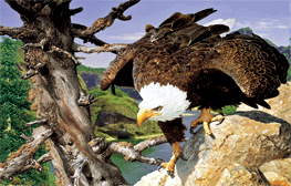 ，，厂家，裸眼立体工厂，3D幻彩名片