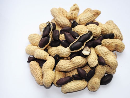 世界粮食日_人均食用粮食(2)