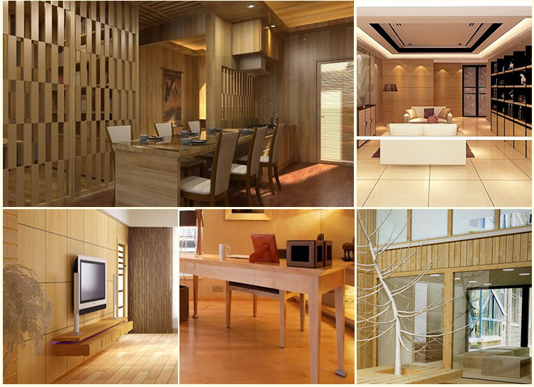 陈艳-黄爱妃(内页)_03