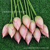 Lotus lotus bud pu big lotus fruit simulation flower fake flower artificial flower engineering decorative flower simulation plant