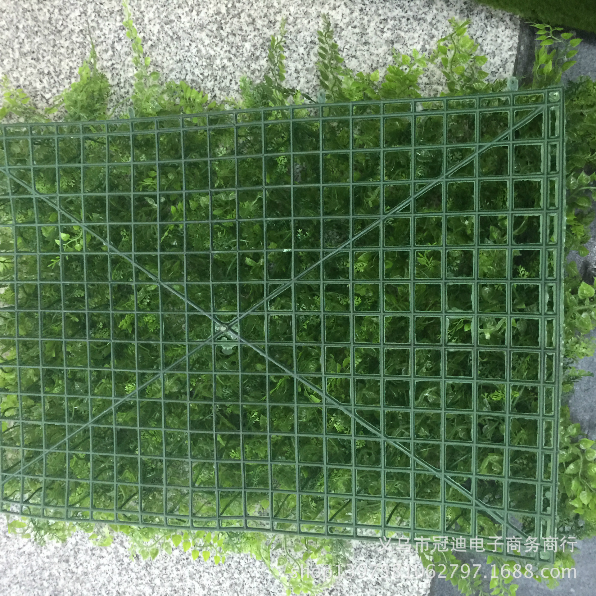 青苔曹皮IMG_2404