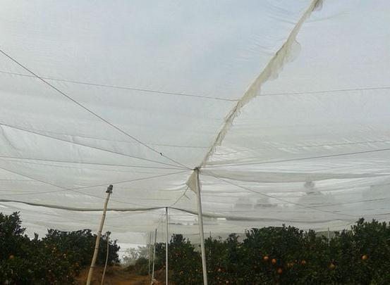 防虫网40目防老化 防蚊网 种植网养殖网农业用网工业用网