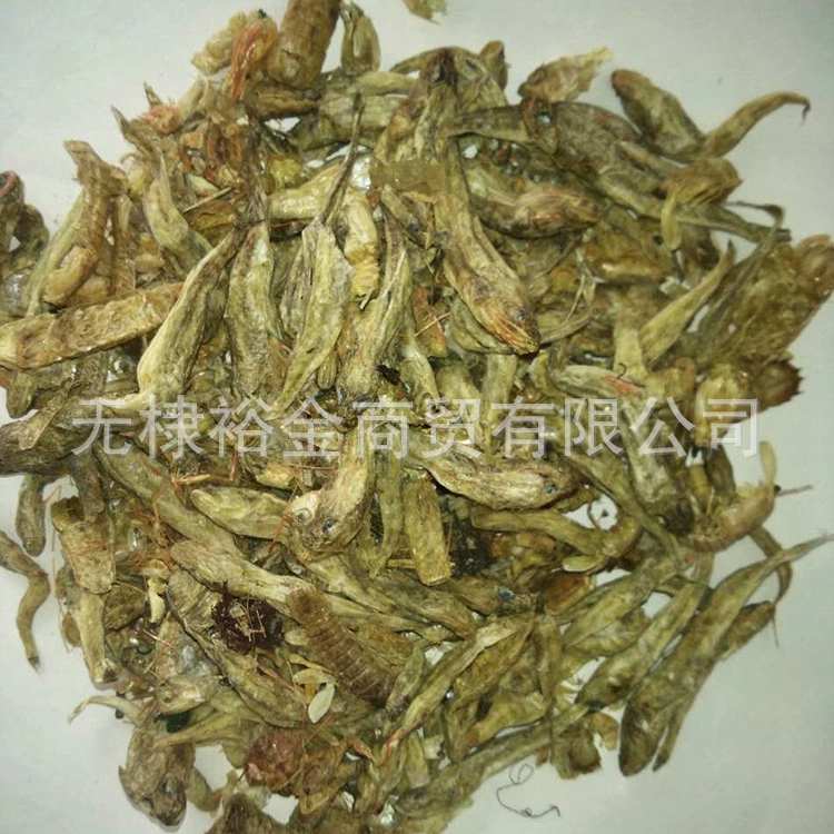 Слегка приготовленная рыба сушеная рыба, сушеная рыба, сушеный корм, содержащий 60% белка, сушеная рыба, сухость, добро пожаловать на консультацию [Рисунок]