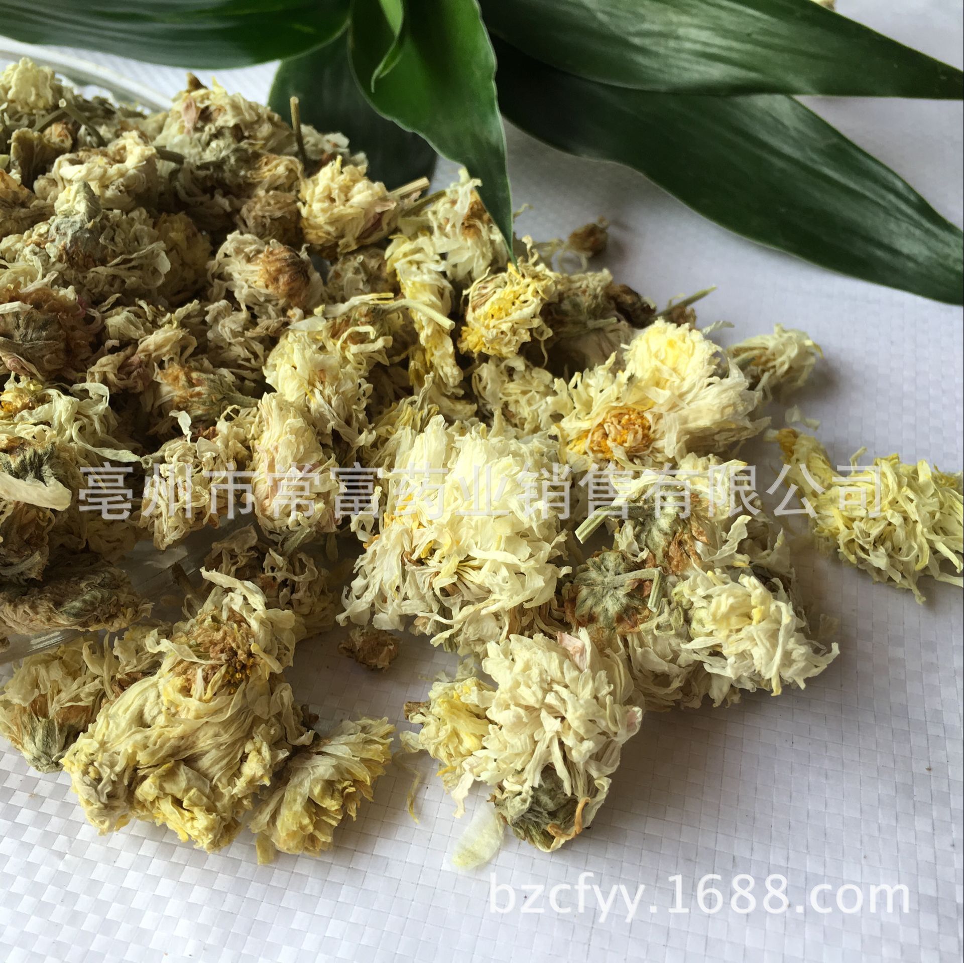 Bo Chrysanthemum Flower Bo Ju Hua Dried Whole Flowers for Tea and Culinary Use 500g Natural Sun Dried Bulk specifications