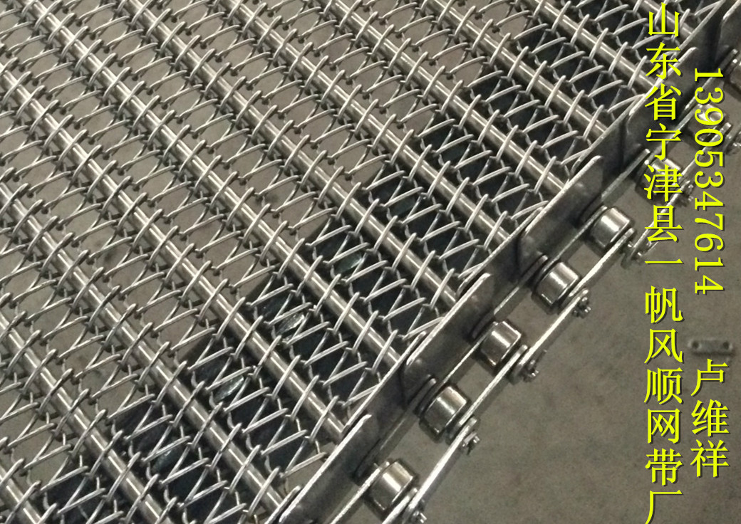 烘干机清洗机网带、网链-8892