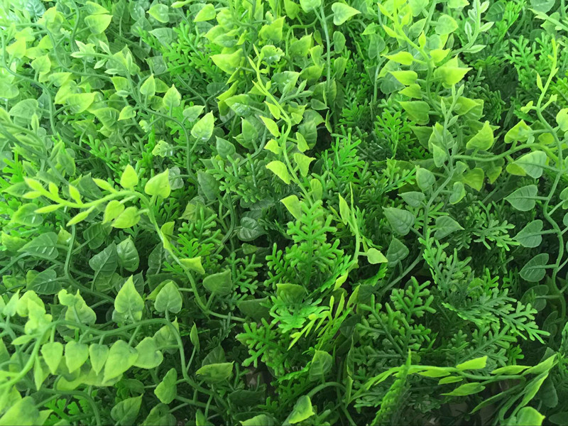 QQ图片20160707150314_副本