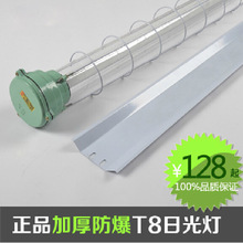 ӫ ˫ӫ2*36w LED t8