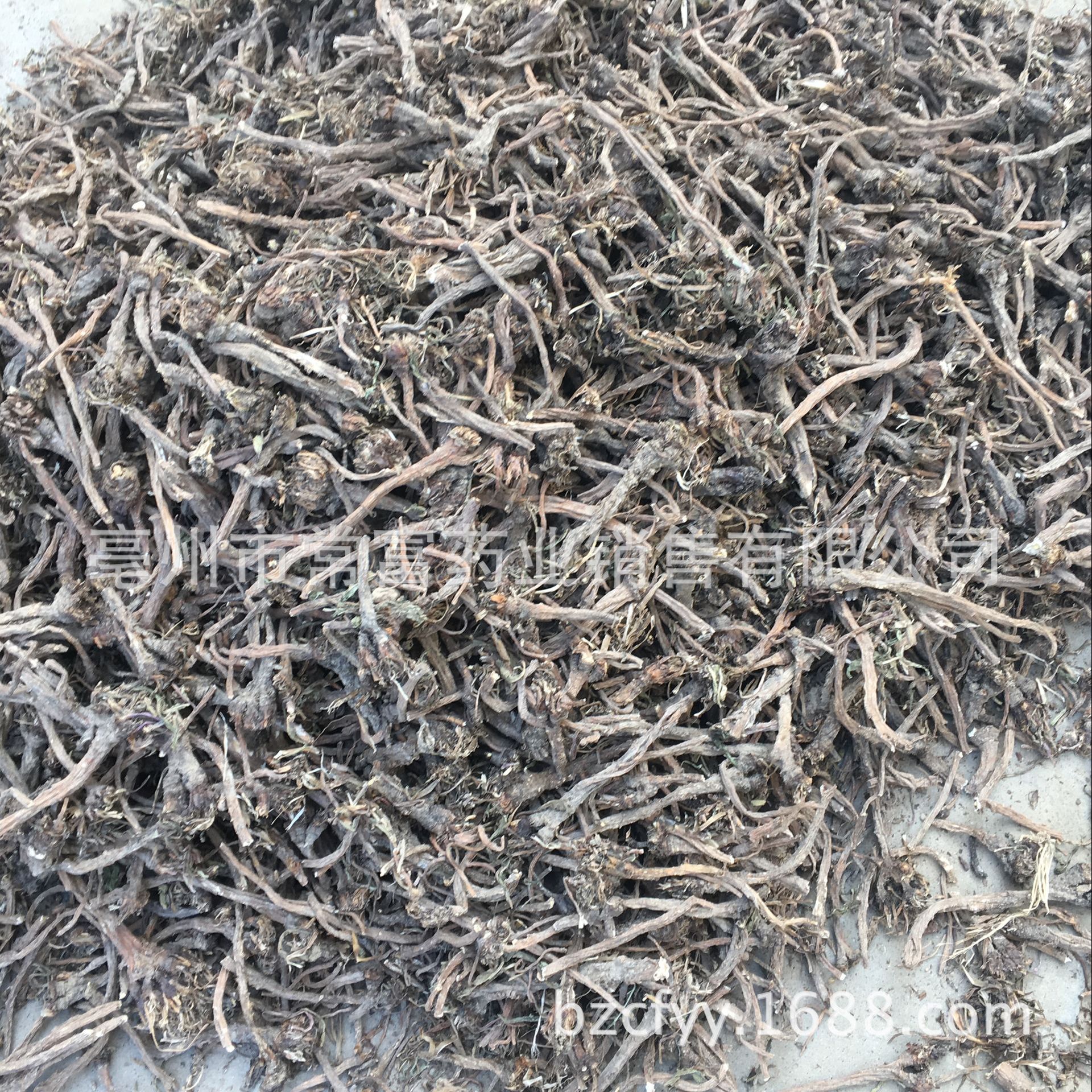 Dandelion Root Tea Pu Gong Ying Gen Washed Dried Roots for Herbal Infusions and Decoctions 500g preparation