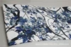 Blue roses on white background